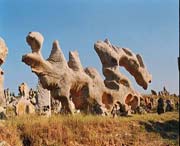 费县天气预报7天