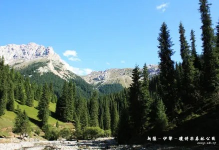 察布查尔今天天气