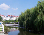 裕民天气预报40天