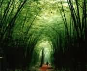 洛宁天气预报7天