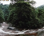 习水天气预报40天