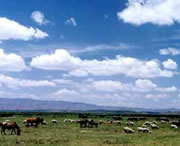 威宁天气预报40天