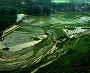 贞丰天气预报40天