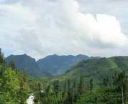 屏边天气预报7天
